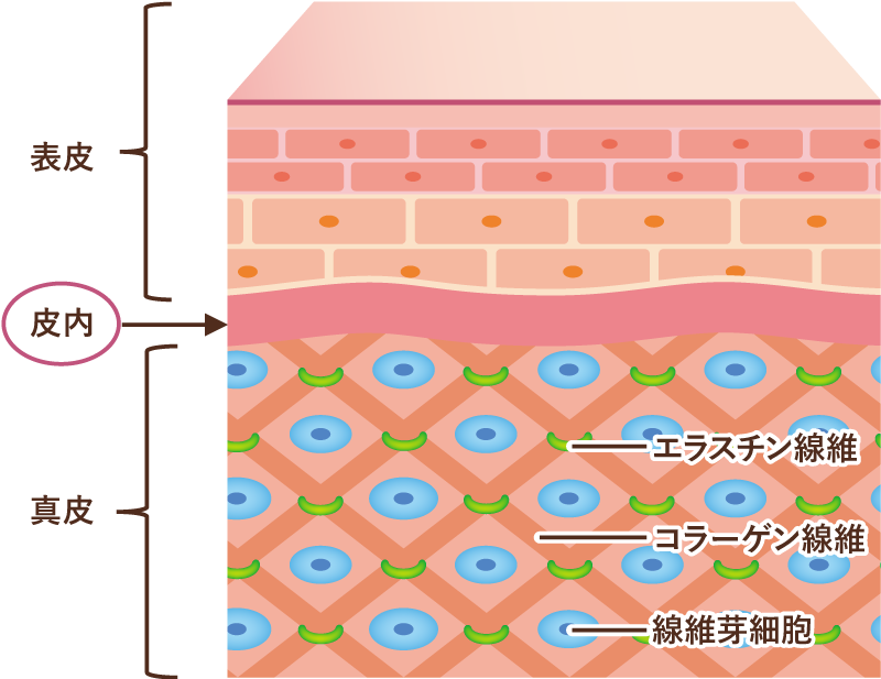 医師による診断と丁寧なカウンセリング